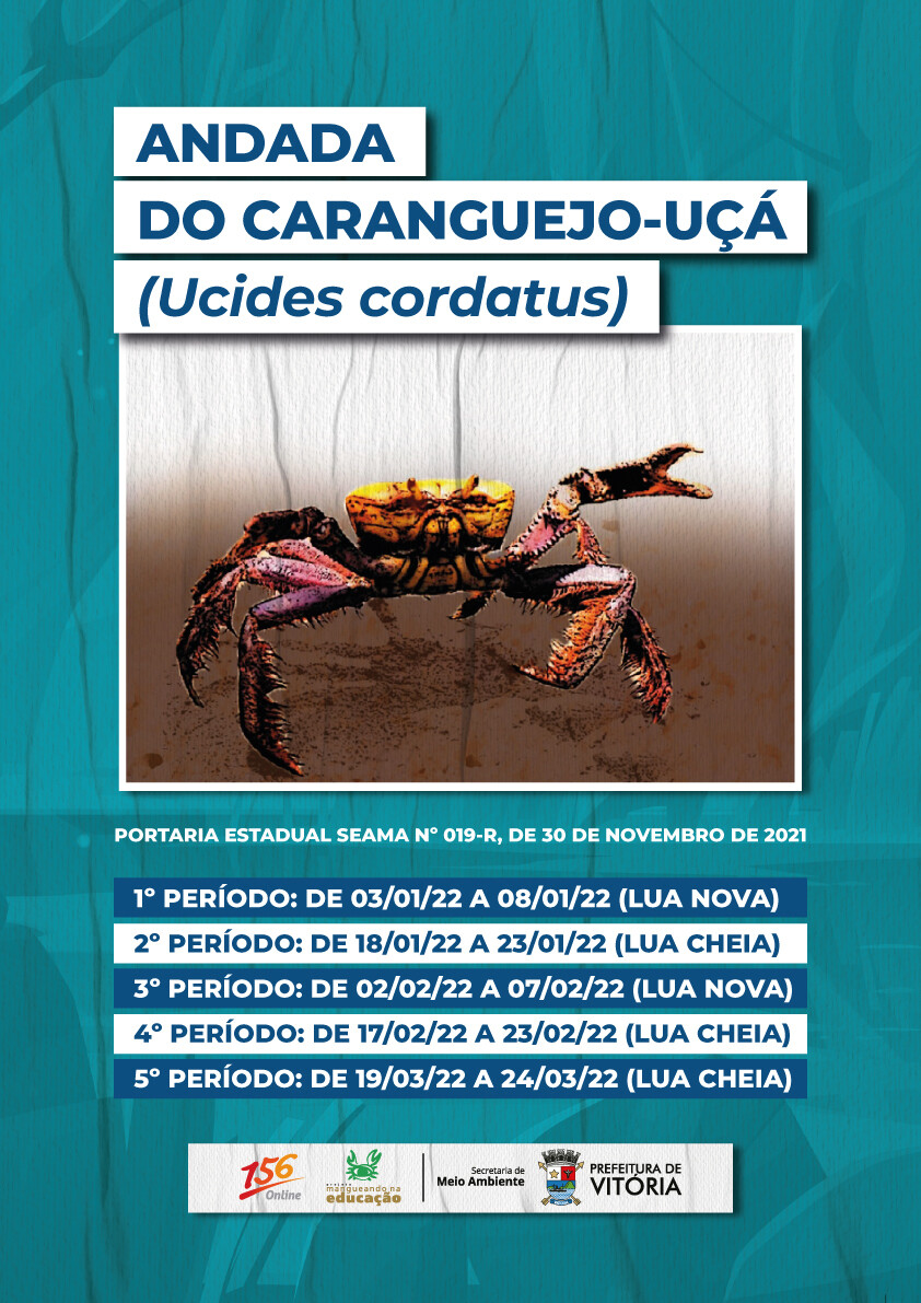 andada-do-carangueijo-uca