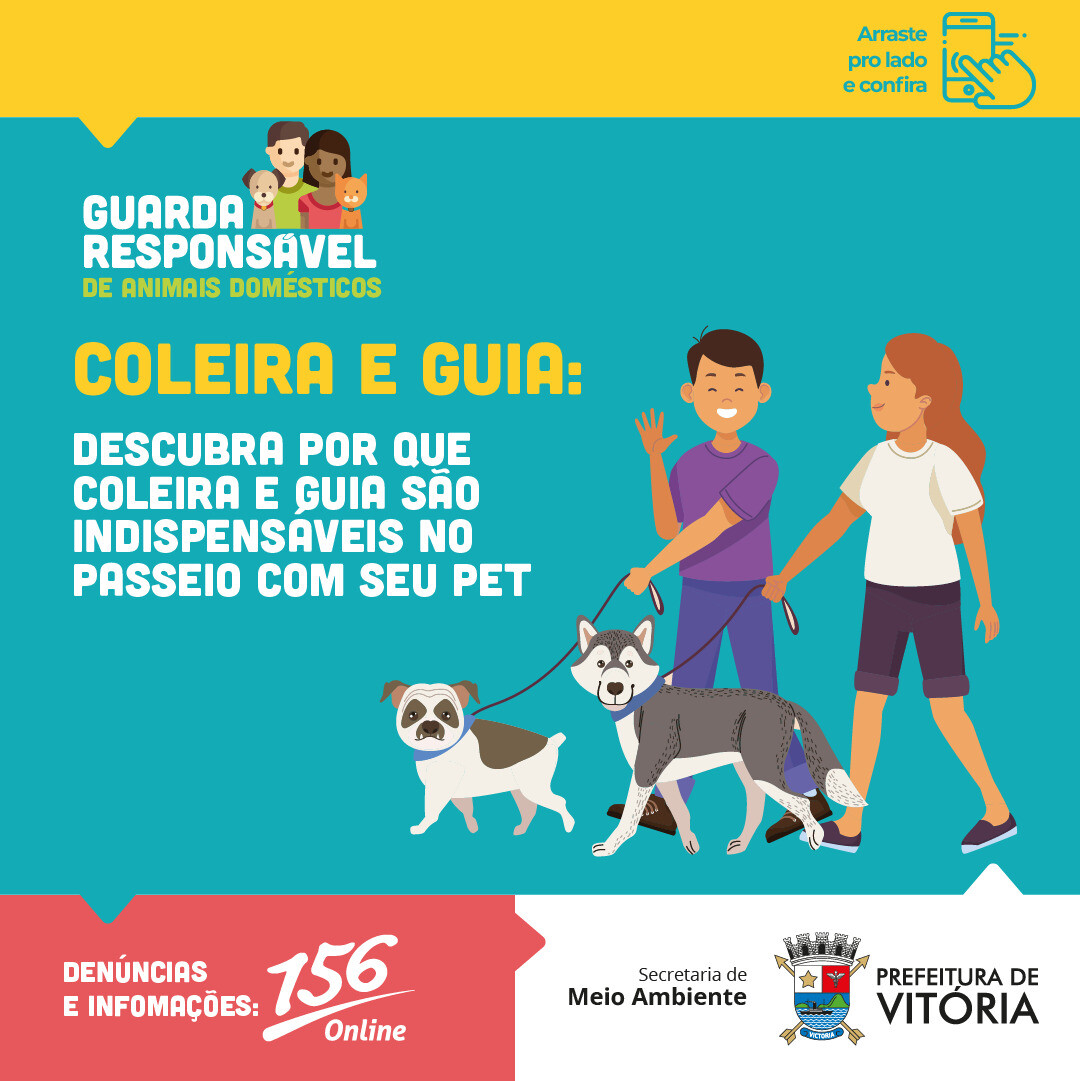 campanha-coleira-e-guia