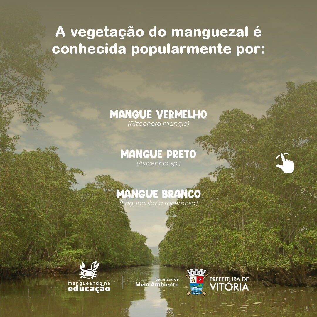 WhatsApp Image 2022-07-26 at 11.54.53 (2).jpeg