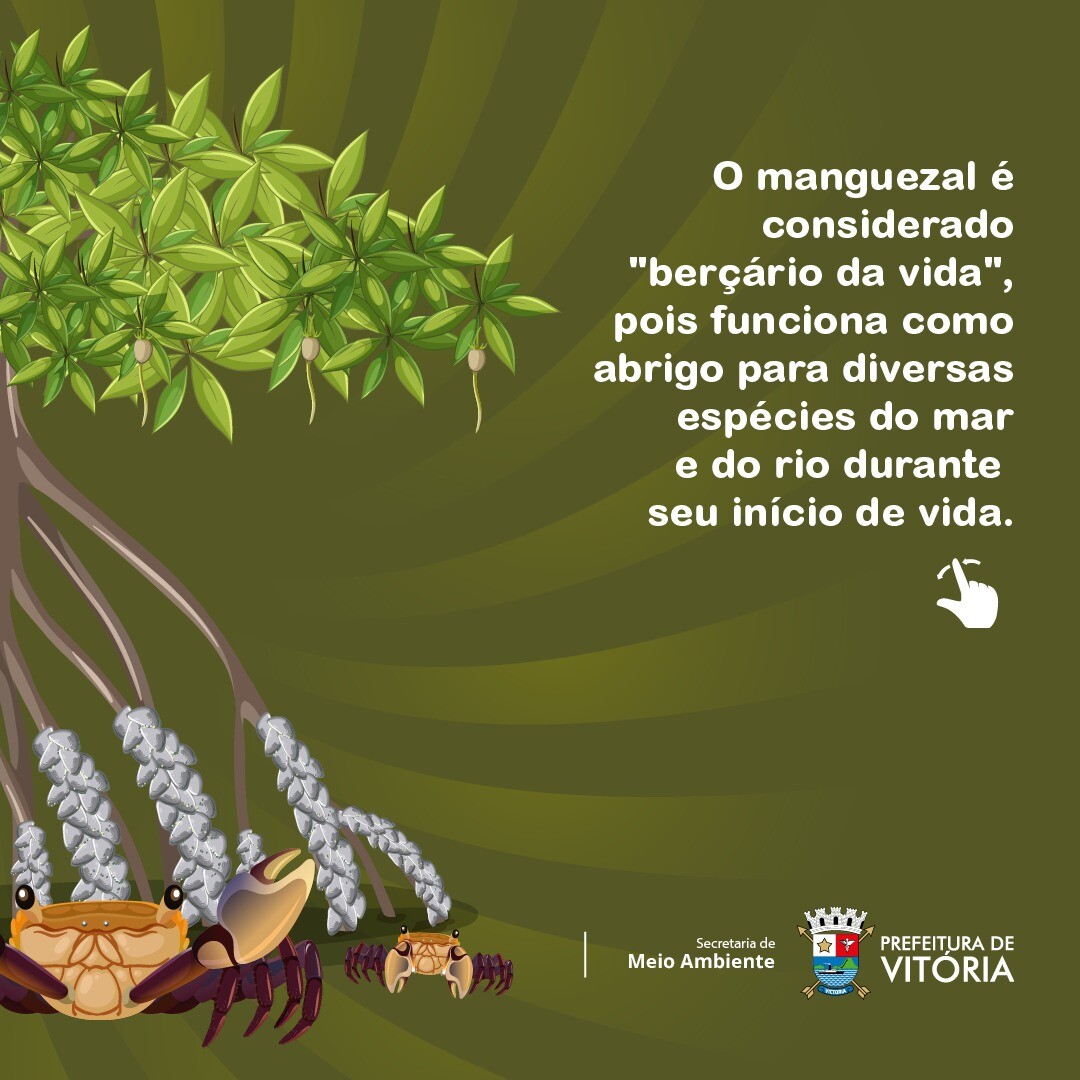 WhatsApp Image 2022-07-26 at 11.54.54 (3).jpeg