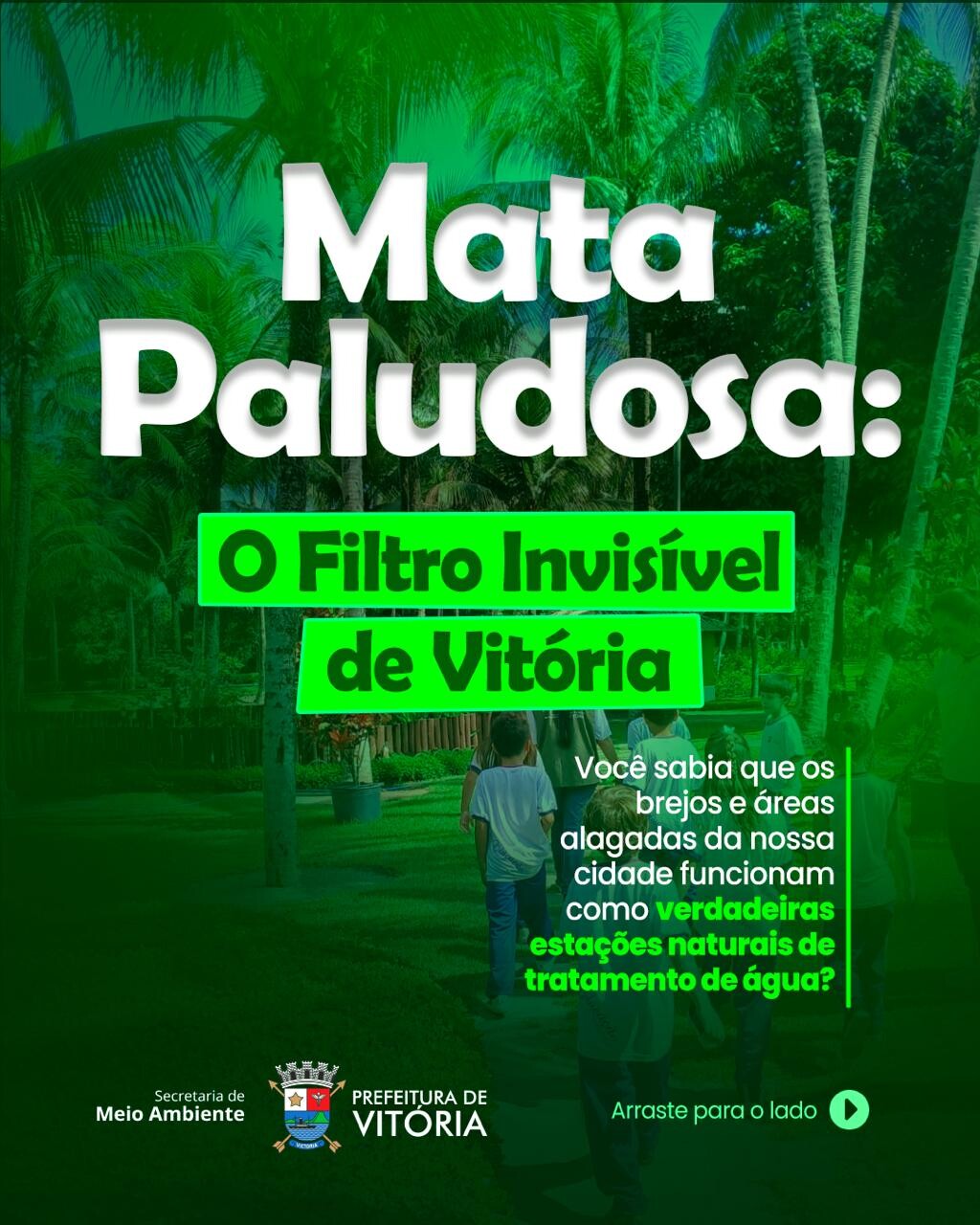 mata-paludosa-o-filtro-invisivel-de-vitoria