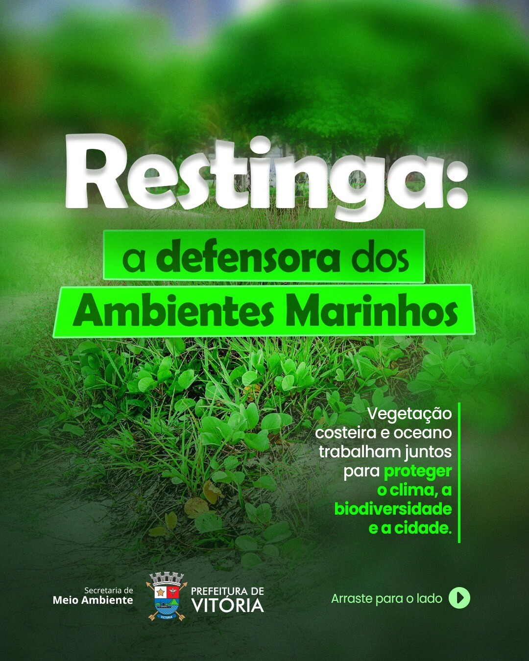 restinga-de-vitoria