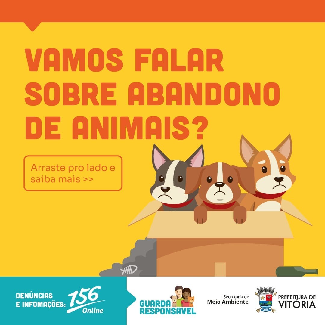 o-abandono-e-a-protecao-animal