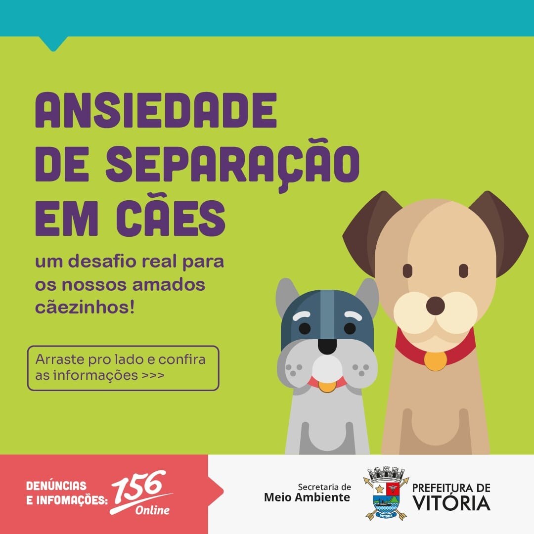 saude-dos-pets-campanha-alerta-para-sindrome-de-ansiedade-de-separacao-em-caes