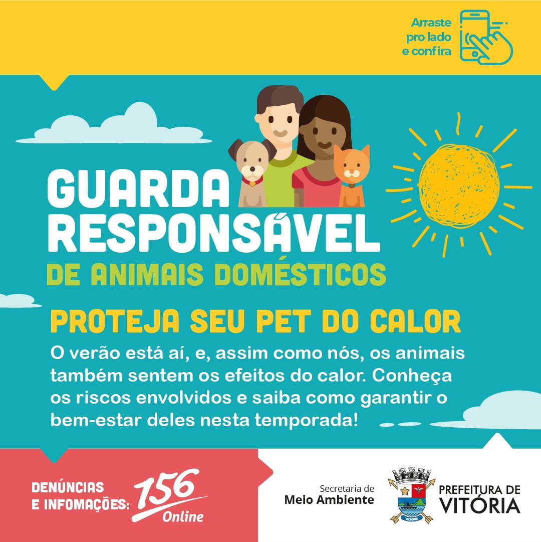 campanha-guarda-responsavel