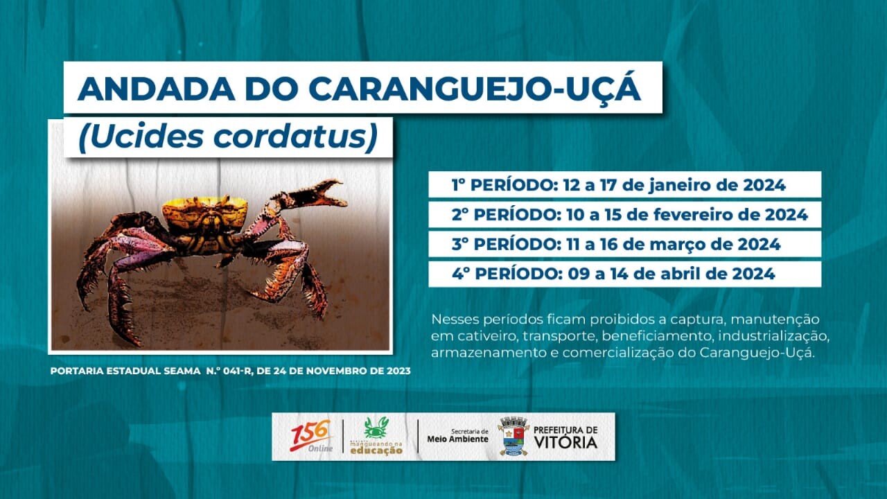PROTEÇÃO DE TELA.jpeg