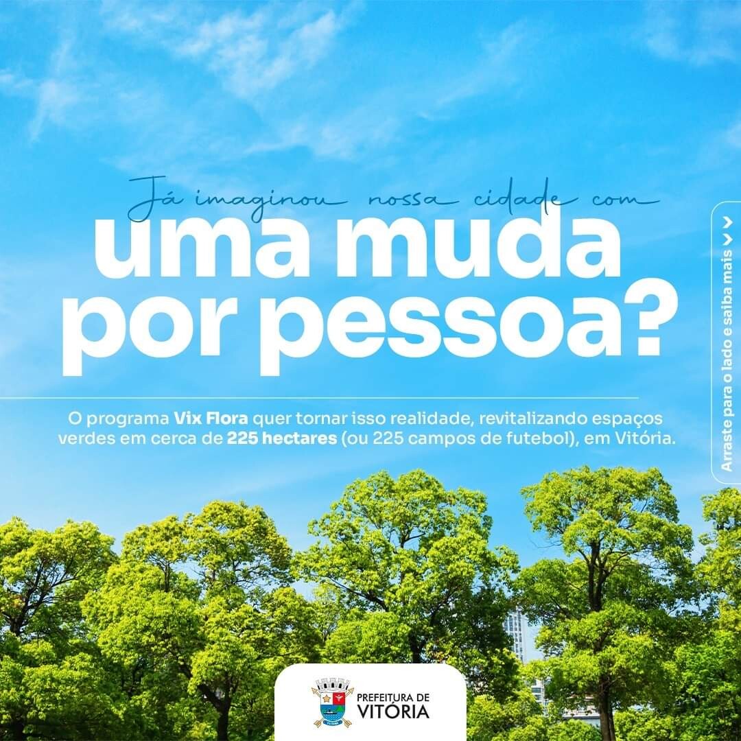programa-vixflora