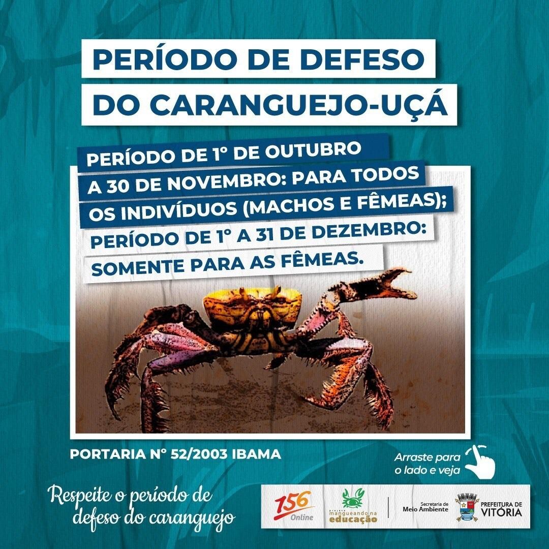 periodo-de-defeso-do-caranguejo-uca