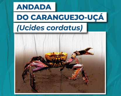 Captura de tela_2022-06-08_15-35-44.png