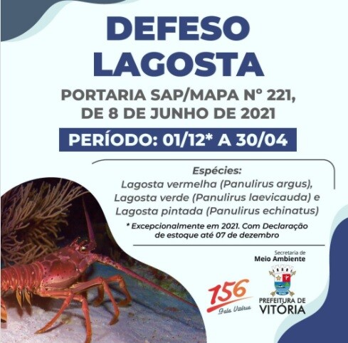 defeso-da-lagosta