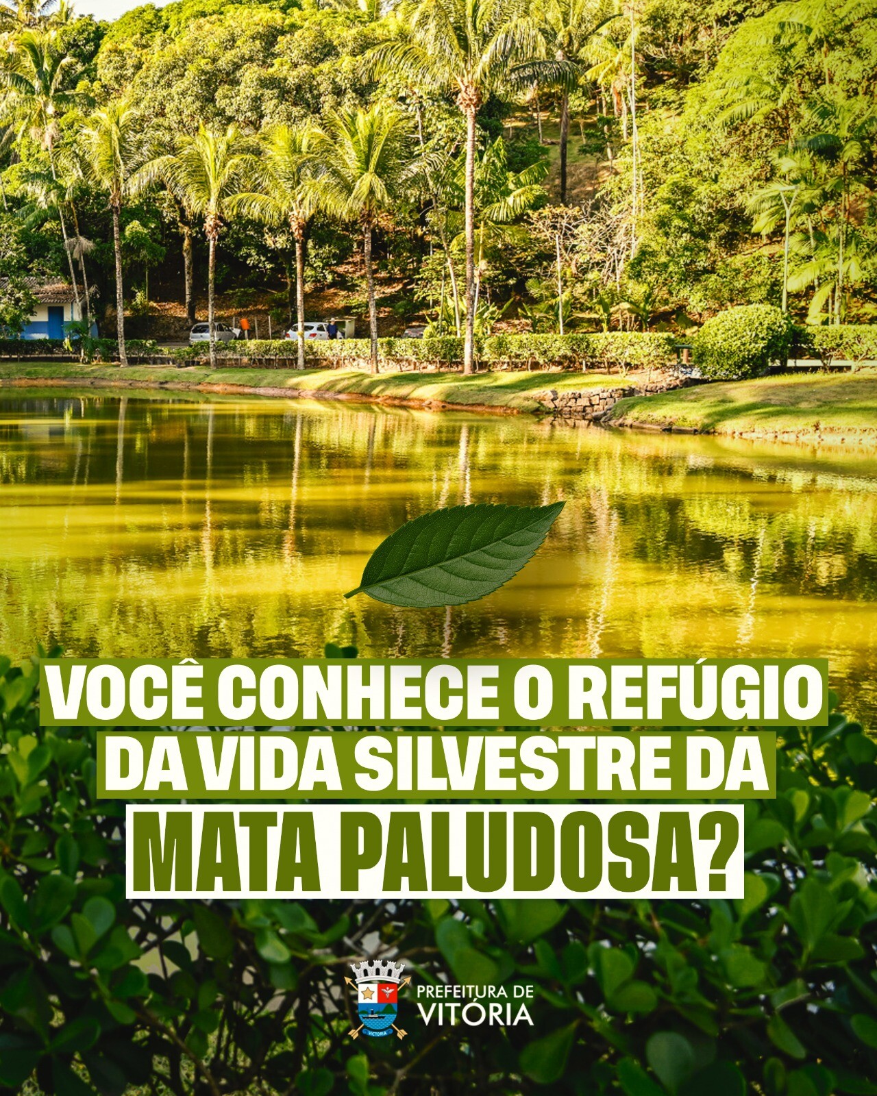 WhatsApp Image 2026-04-28 at 16.41.36.jpeg