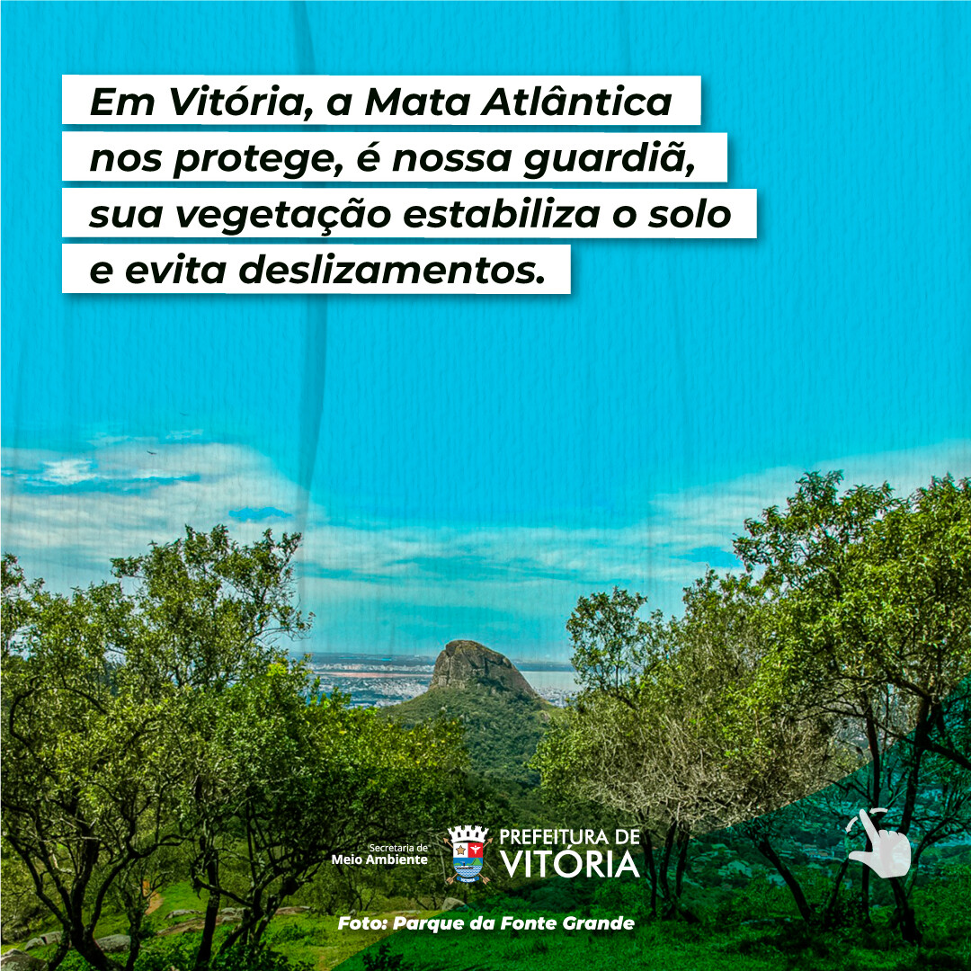 SEMMAM21_012_DIA-DA-MATA-ATL¶NTICA_04_01.jpg