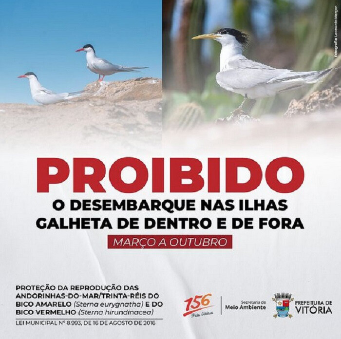 Imagem do WhatsApp de 2025-06-26 à(s) 15.25.04_fbc5ff71.jpg