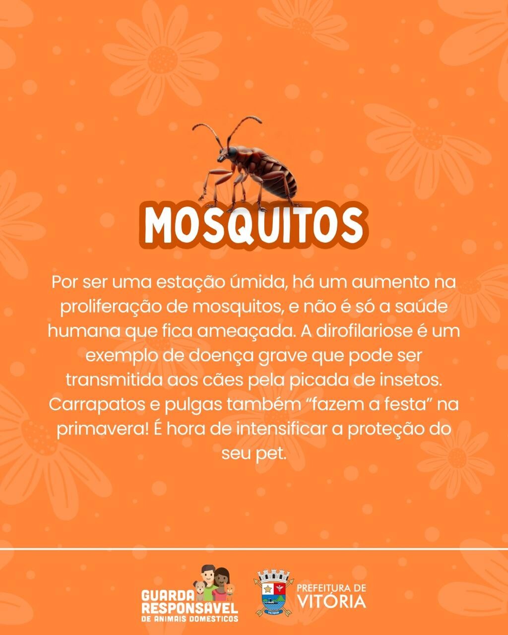 WhatsApp Image 2025-09-23 at 13.00.28.jpeg