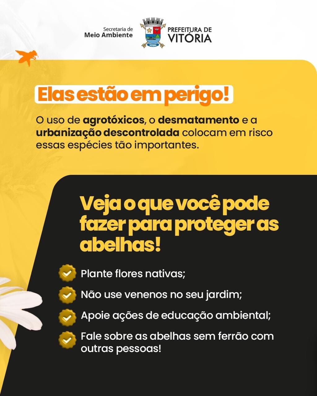 Imagem do WhatsApp de 2025-10-01 à(s) 15.37.48_116b540e.jpg