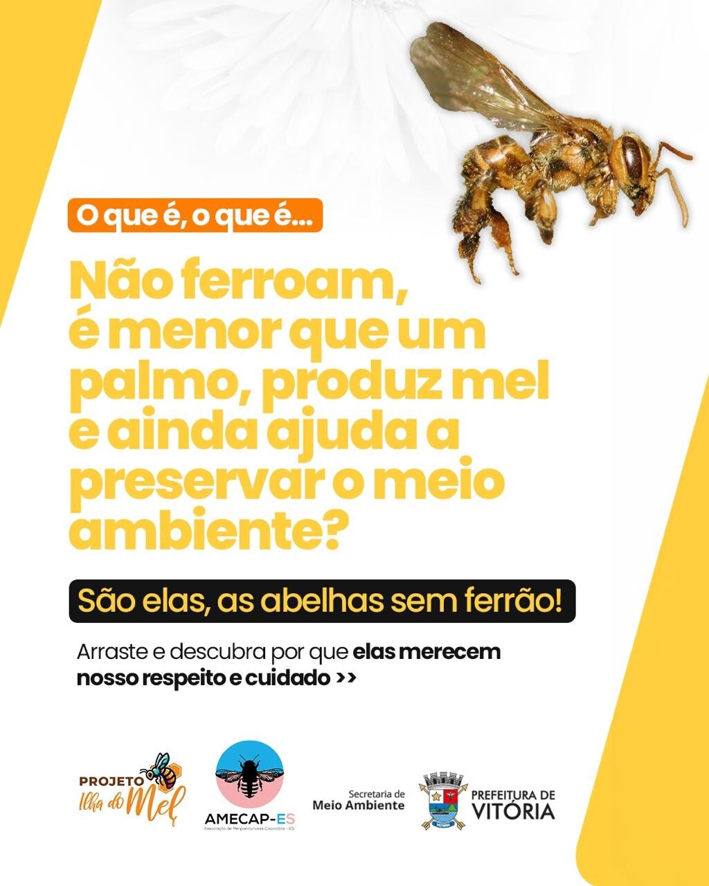 Imagem do WhatsApp de 2025-10-01 à(s) 15.37.47_1bbac651.jpg