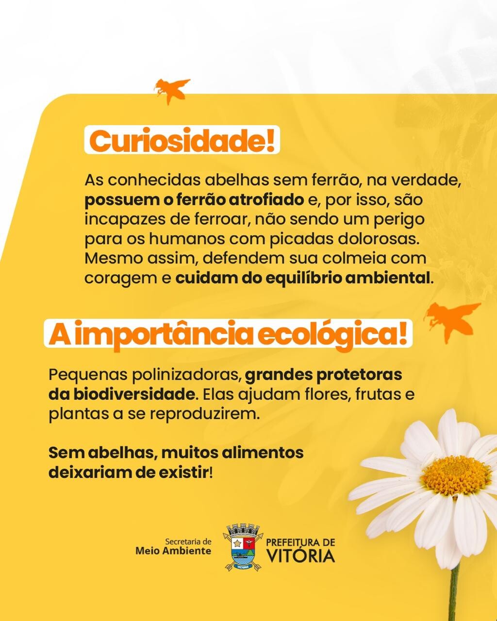 Imagem do WhatsApp de 2025-10-01 à(s) 15.37.47_70b09634.jpg