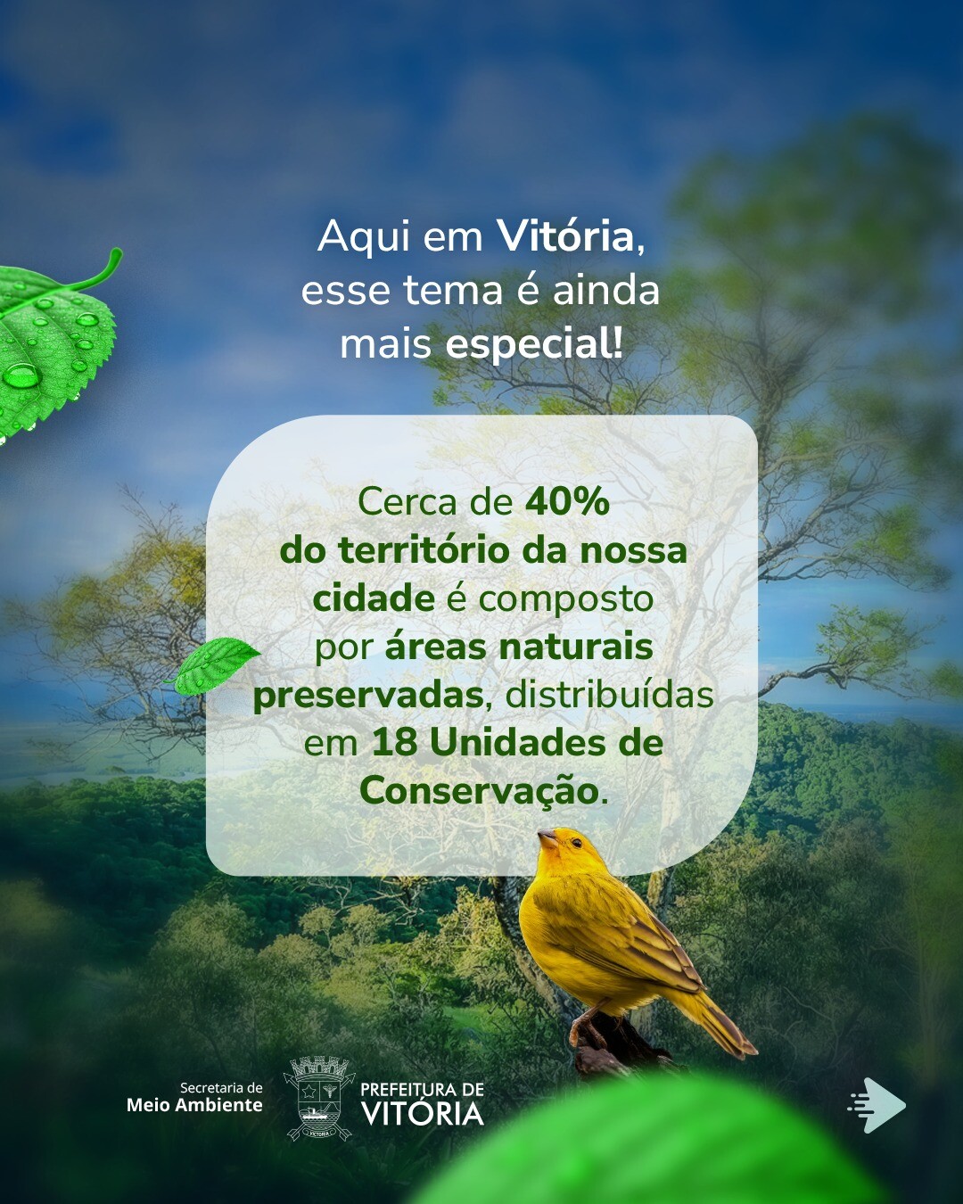 vitoriaonline_696357340_1399641225532000_3045351644869169815_n.jpg