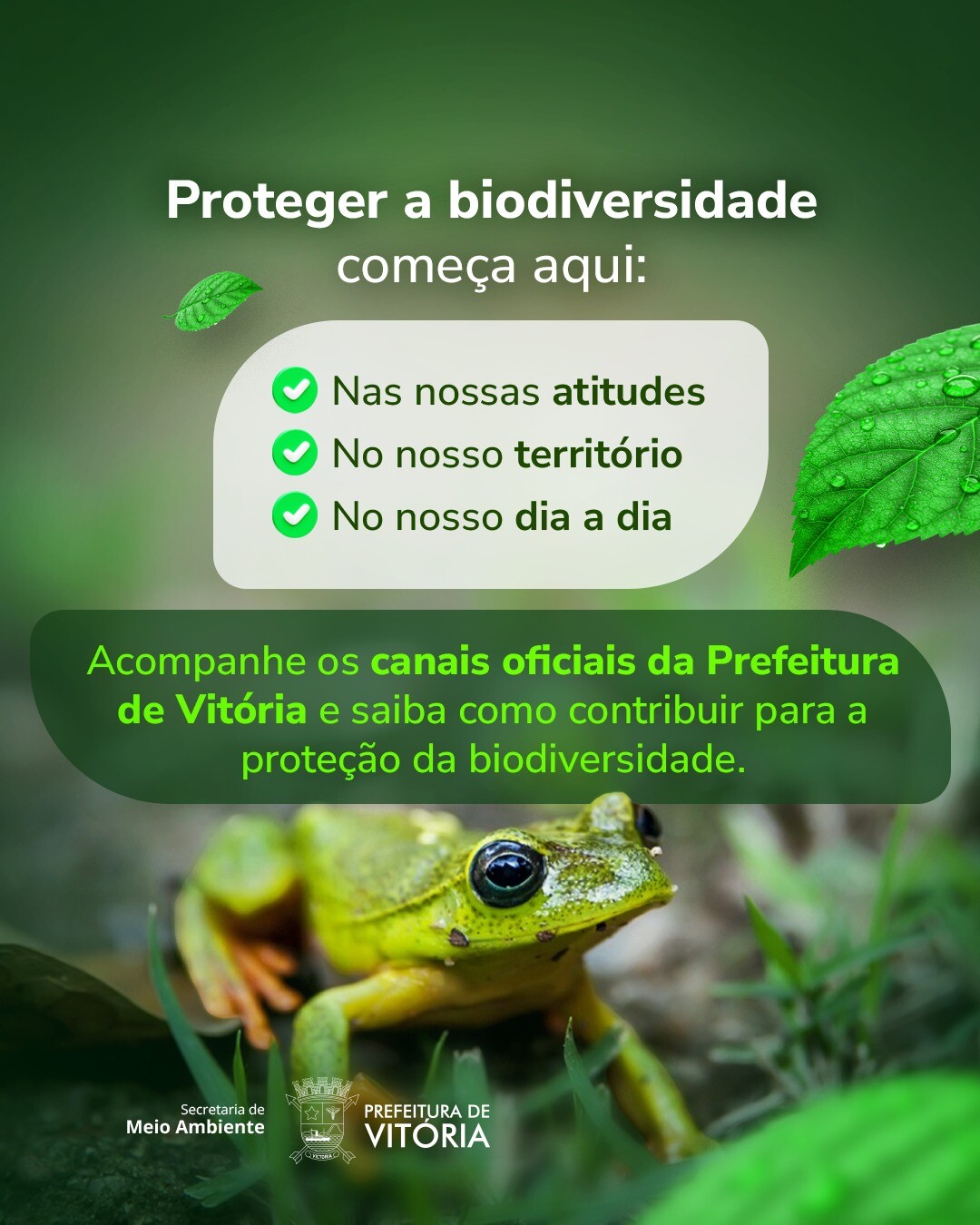 vitoriaonline_698940486_1399641192198670_4824481052670300300_n (1).jpg