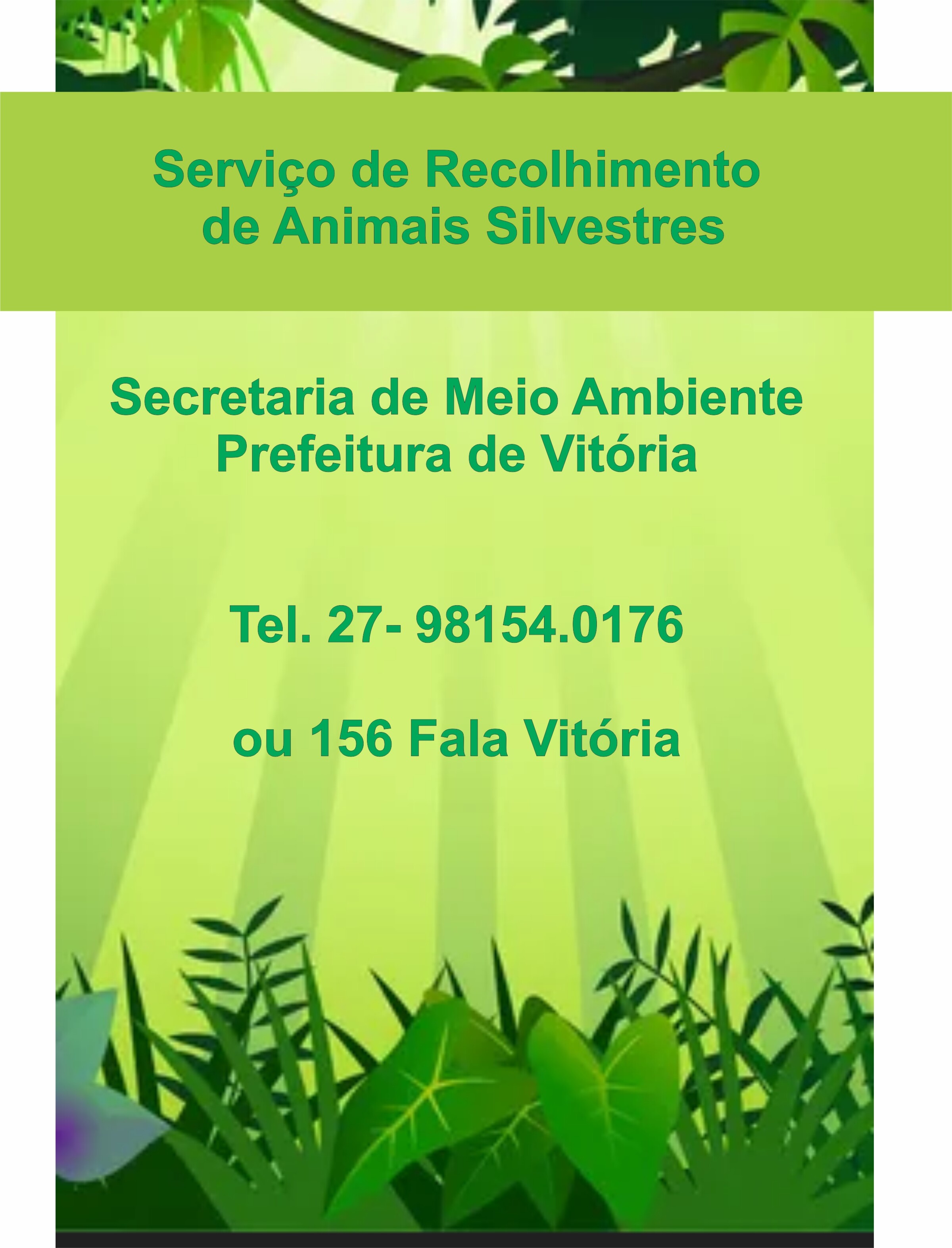 recolhimento de animais.jpg
