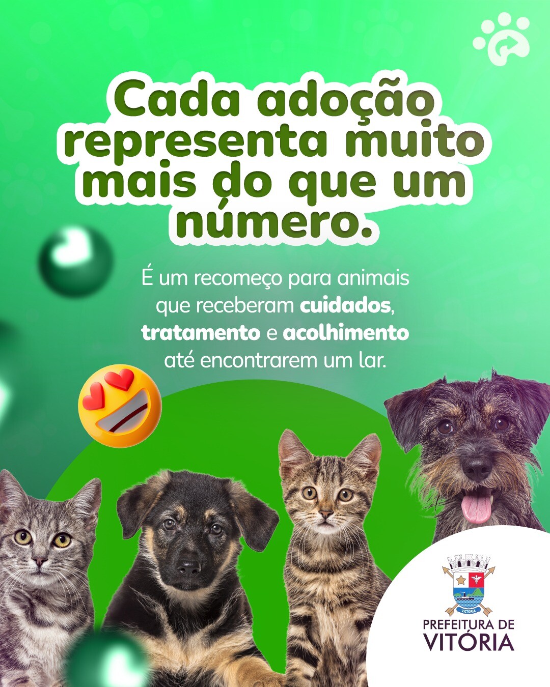 WhatsApp Image 2026-06-08 at 17.06.18.jpeg