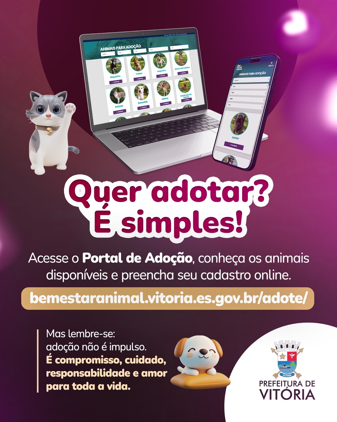 WhatsApp Image 2026-06-08 at 17.06.21.jpeg
