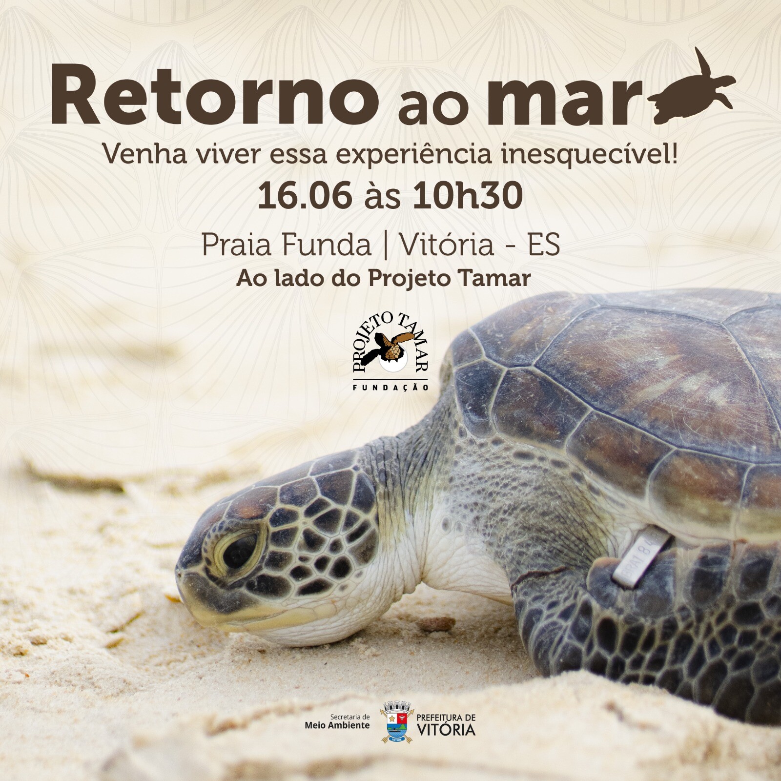 Imagem do WhatsApp de 2023-06-15 à(s) 16.23.42.jpg