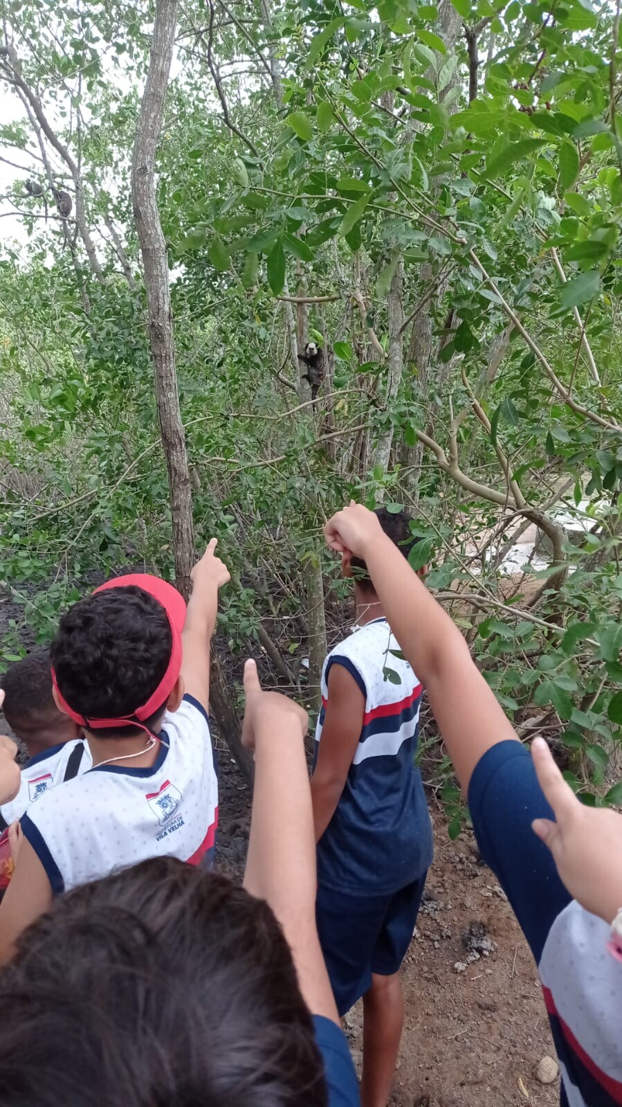 mangueando-na-educacao