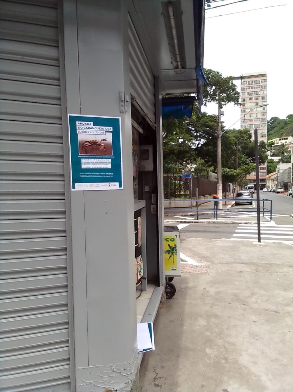 WhatsApp Image 2024-02-08 at 11.35.23.jpeg
