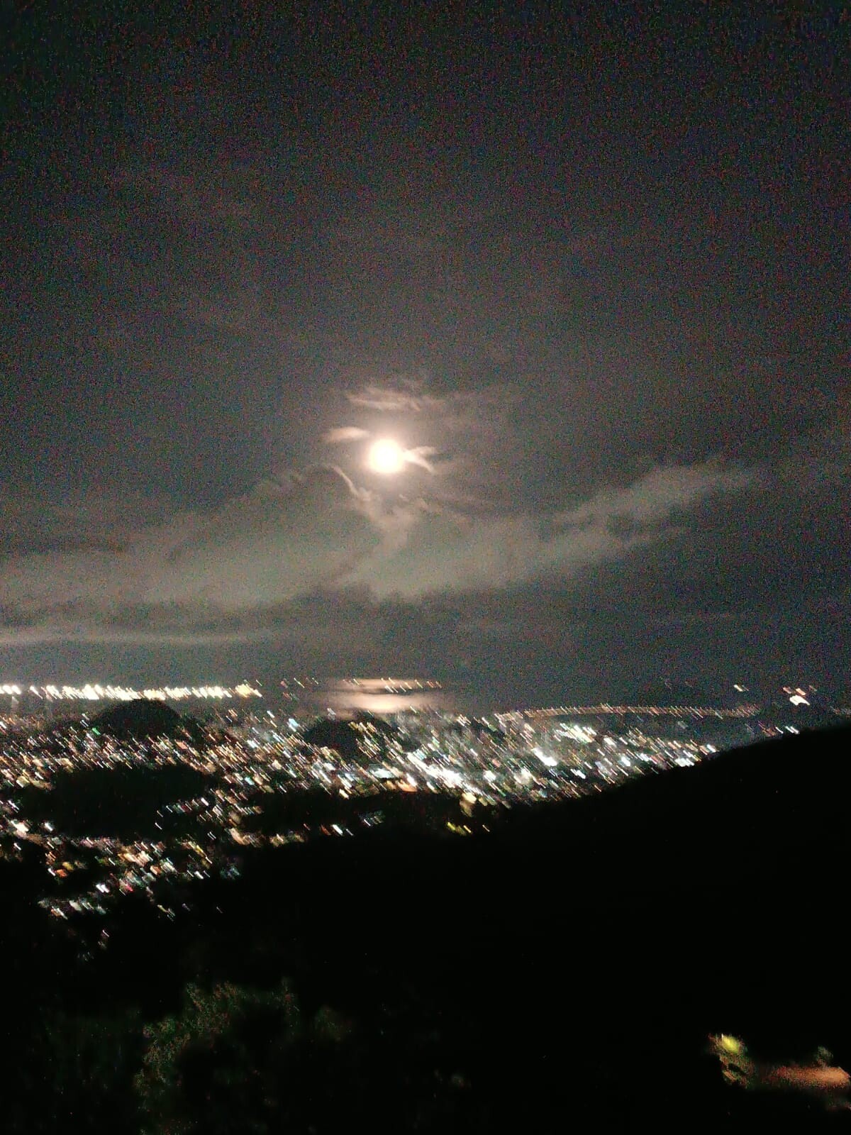 01.jpg