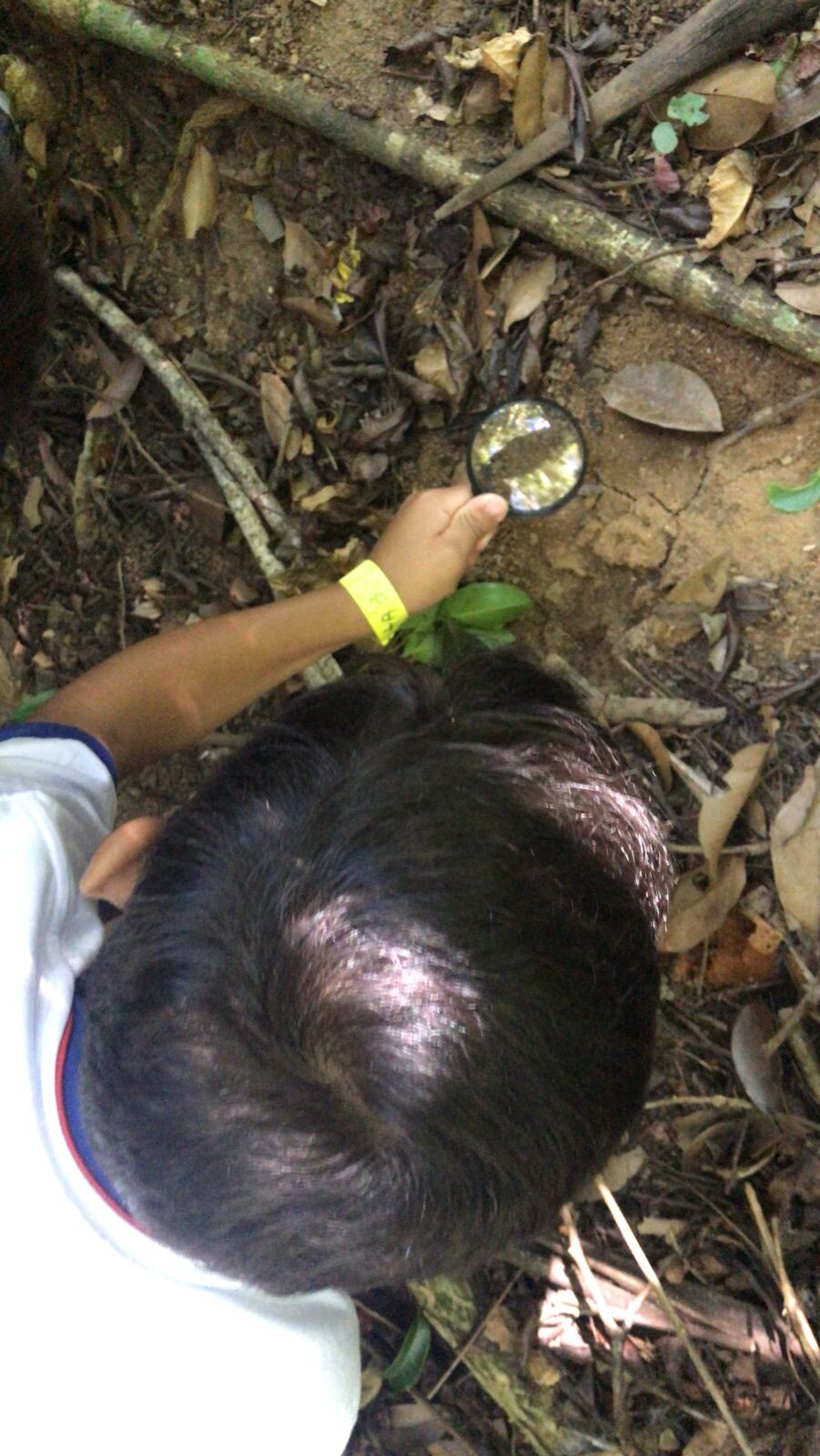 IMG-20240611-WA0132.jpg