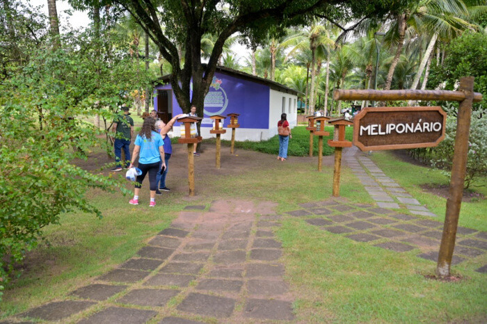 06.jpg