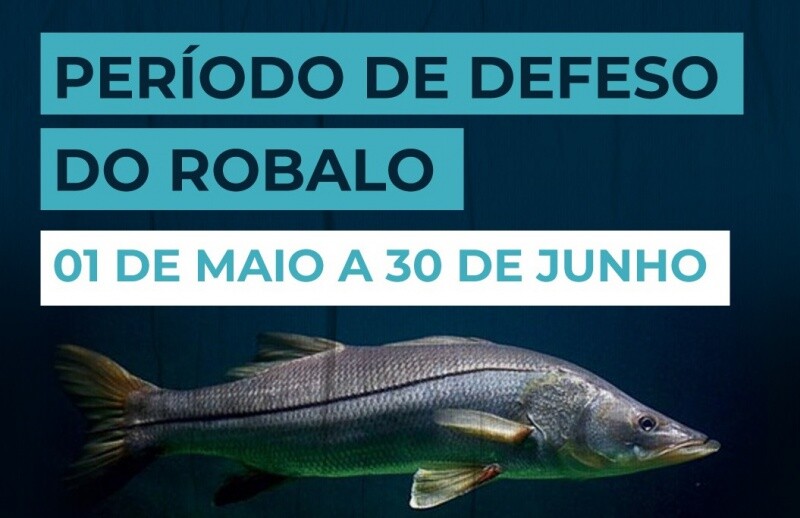 periodo-de-defeso-do-robalo-comeca-em-1-de-maio-no-espirito-santo