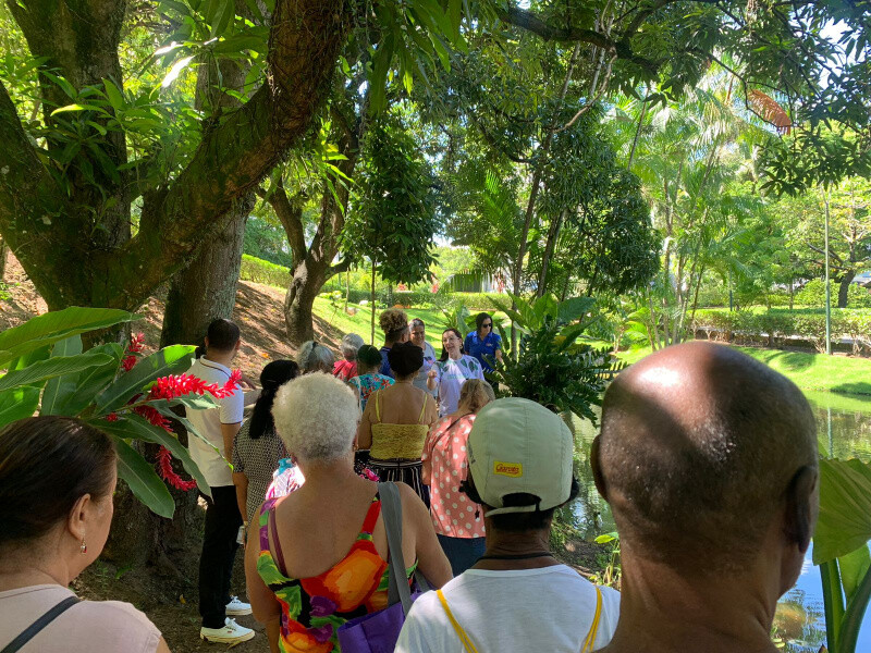 professores-participam-de-formacao-em-educacao-ambiental