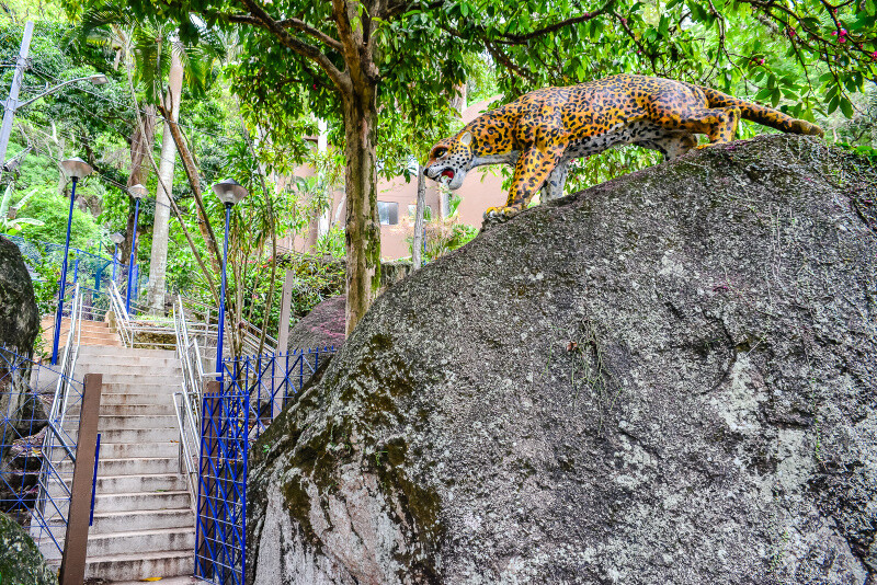 historias-que-brotam-no-coracao-da-cidade-parque-gruta-da-onca-vira-sala-de-aula