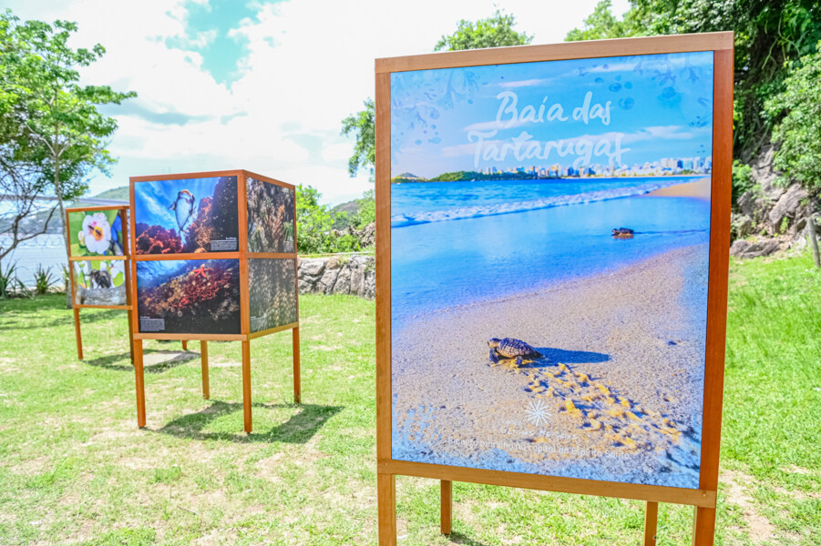 exposicao-baia-das-tartarugas-ja-atraiu-mais-de-5-mil-visitantes