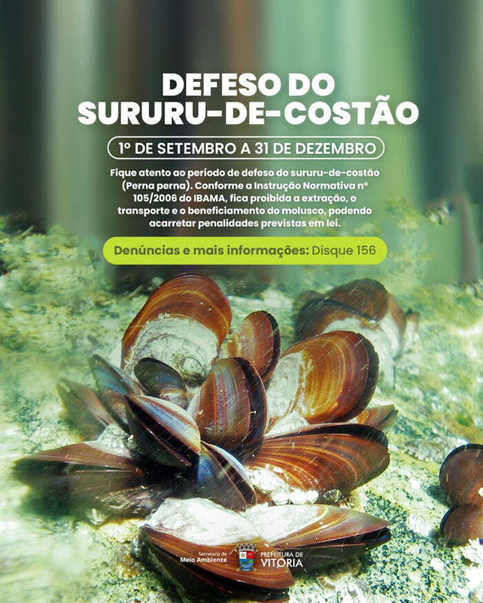 periodo-de-defeso-do-sururu-de-costao-rochoso-comeca-nesta-segunda-1
