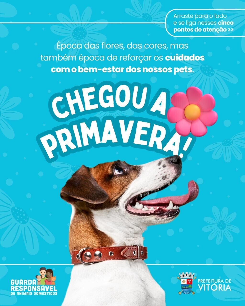maior_QPhILwDpuMP1xmJldWs7dKB22so_oPWn.jpeg