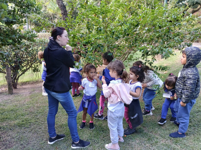 centro-de-educacao-ambiental-mata-paludosa-realiza-plantio-de-mudas-nativas