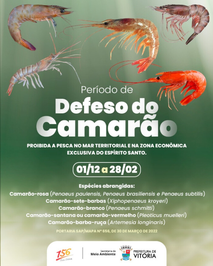 defeso-do-camarao-comeca-nesta-segunda-feira-1-e-reforca-a-protecao-das-especies