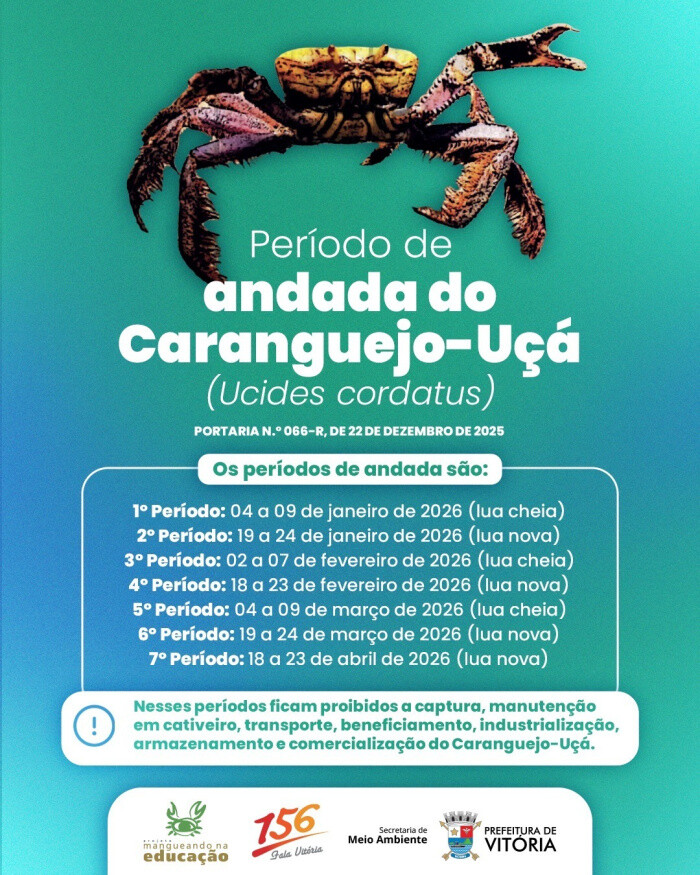 05.jpg