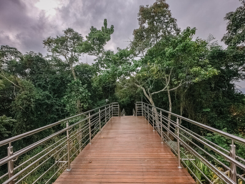estudantes-aprende-sobre-a-mata-atlantica-em-parque-de-vitoria