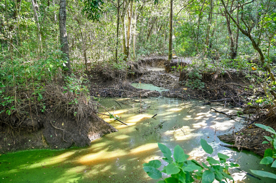 biodiversidade-e-ancestralidade-sao-temas-de-estudos-no-parque-vale-do-mulemba