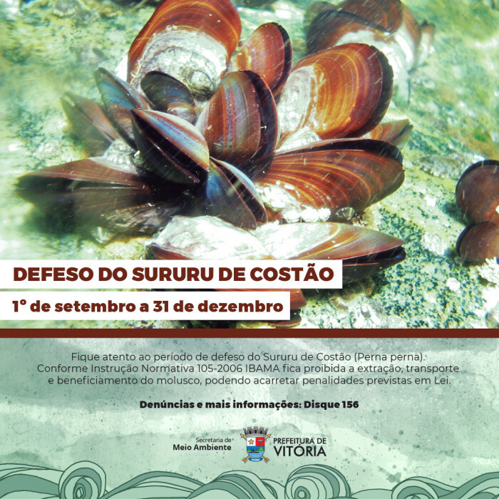 defeso-do-sururu-periodo-se-inicia-nesta-quinta-e-se-estende-ate-31-de-dezembro