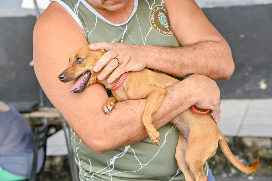 copa-do-mundo-saiba-como-proteger-os-pets-durante-as-comemoracoes