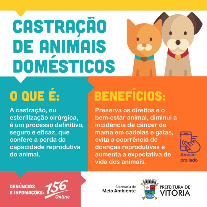 vitoria-disponibiliza-mil-guias-para-castracao-de-caes-e-gatos