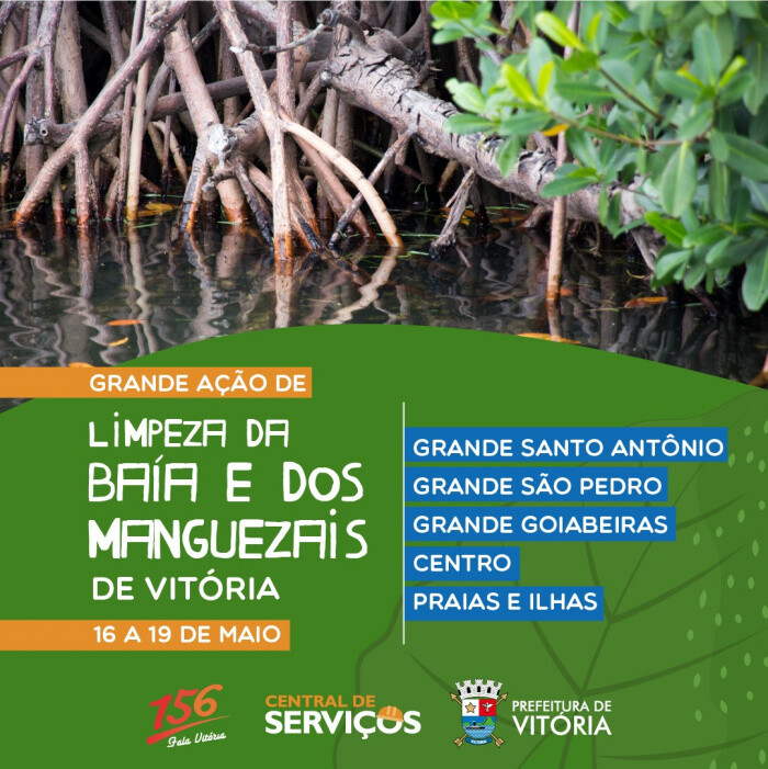 mutirao-de-limpeza-na-baia-e-manguezais-de-vitoria-comeca-na-segunda-feira