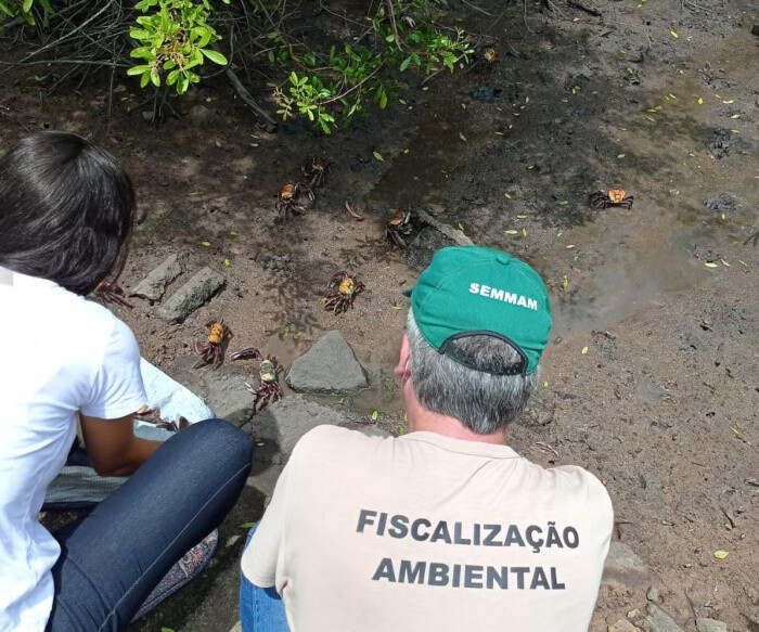 fiscalizacao-da-semmam-apreende-cata-ilegal-de-caranguejos
