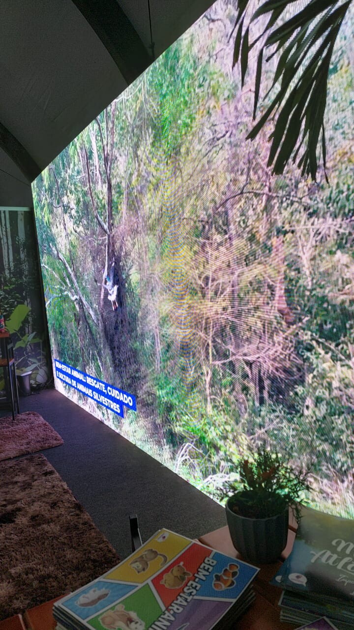 Imagem do WhatsApp de 2023-06-26 à(s) 18.06.44.jpg