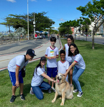 dia-do-animal-abandonado-vitoria-promove-adocao-e-guarda-responsavel